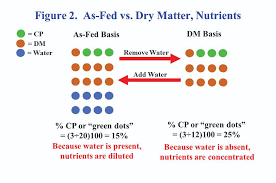 Feed Dry Matter Conversions G2093