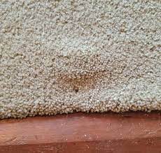carpet repair brisbane 0488 851 508