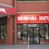 blossom nails beauty southport