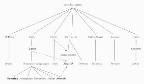 Indo European Language Family Cogitatorium