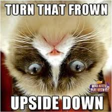 Grumpy cat on Pinterest | Grumpy Cat Meme, Grumpy Cat Quotes and ... via Relatably.com