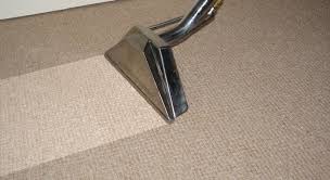 carpet cleaning services perfect