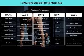 5 day home workout plan with pdf no