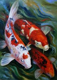 koi fish 279 original artworks