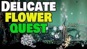 hollow knight delicate flower quest