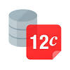 This free download is the standalone oracle 11g overview. 1