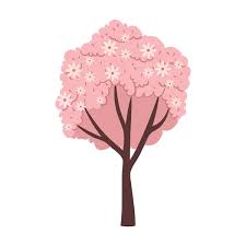 100 000 Cherry Blossom Tree Vector