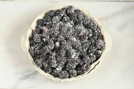 blackberry pie recipe homemade pie