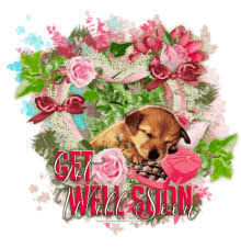 Image result for get well soon puppy