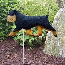 Brussels Griffon Outdoor Garden Dog