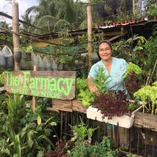 Urban Gardener Quits Job Builds Small