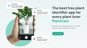 12 free plant identification apps for