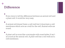 What organelle does a plant cell have that an animal cell does not have, that supports the cell and is the outer most layer? Imavi S Cell Diary By Imavi Shanaya W Dictionary Meanings Cell Wall A Cell Wall Is A Stiff Layer Of Suger Molecules Bonded Together Lying Outside Ppt Download
