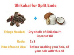 Image result for Favorite Brand of Shikakai Soap