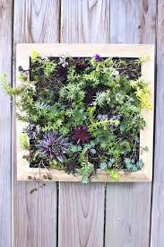 10 Outdoor Succulent Garden Ideas