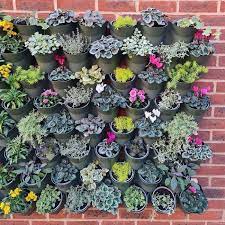 Living Wall Vertical Planting Kit