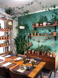 house plants decor