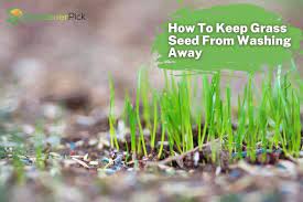 keep gr seed from washing away