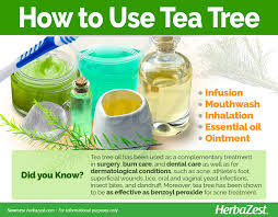 tea tree herbazest
