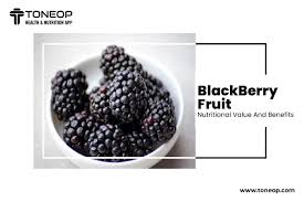 blackberry fruit nutritional value and