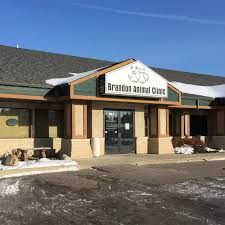 3,104 likes · 104 talking about this · 2,355 were here. Brandon Animal Clinic Home Facebook