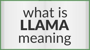 llama meaning of llama you