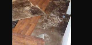 remove mold from laminate flooring