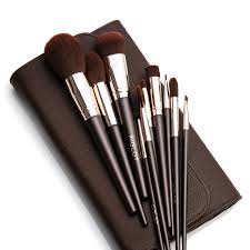 brush set in case chocolate inglot
