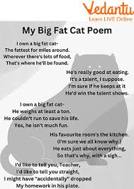 my big fat cat a funny and interesting