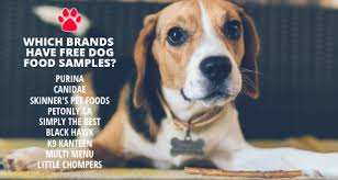 So we thought they should not be left out and should have a page. Free Dog Food Samples Amp Other Free Pet Samples For Your Furbaby