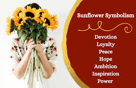 sunflower symbolism and meaning