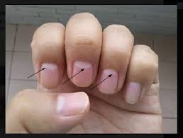 oh my darn nails 6 things your nails