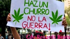 El fallo no autoriza automáticamente el consumo de marihuana, ni legaliza la venta, pero ataca los tras pugnar por la legalización de la marihuana medicinal en méxico, raúl elizalde emprende en el. Marihuana Mexico Home Facebook