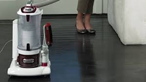 best carpet cleaning solutions for pet