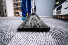 why professional carpet cleaning should