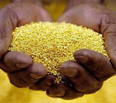 The gold mines in the rainforests of Mali allowed the empire to flourish.  The Malian armies acquired the gold mines in Bondu and Ba… | Gold mining,  Gold, Gold price