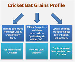 Cricket Khelmart Wordpress Blog