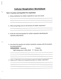 Cellular Respiration Worksheet