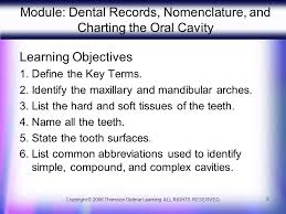 Powerpoint Presentation For Introduction To Dental