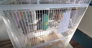 mess proof your bird cage