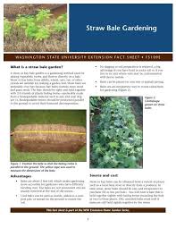 straw bale gardening washington state