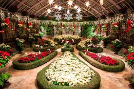 phipps conservatory winter flower show