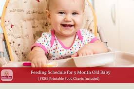 feeding schedule with 1 week food chart