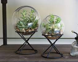 Globe Glass Terrarium Indoor Planters