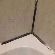 get mould off your bathroom tiles