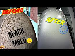 how to remove black mold for 54 cents