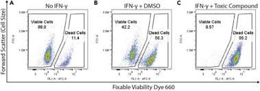 intracellular flow cytometry