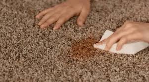 remove stains and bad odor from carpet