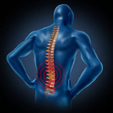 Image result for pain in low back!