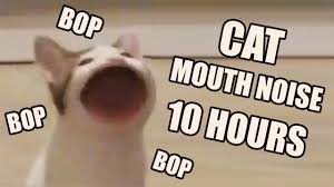 cat mouth noise 10 hours you